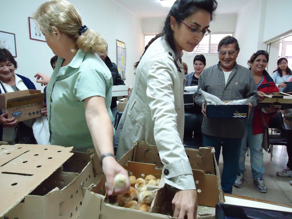 UNA NUEVA JORNADA DE INTA Y FU.DE.CA.