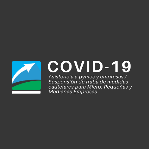 ASISTENCIA A PYMES Y EMPRESAS